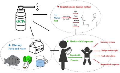 Comparison between pollutants found in breast milk and infant