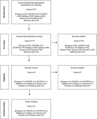 Frontiers | Health professional perspectives on translation of cultural ...