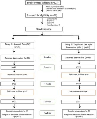 Frontiers  Transcriptional modulation of inflammation, and aging in Indian  obese adults following a 12-week yoga-based lifestyle intervention: A  randomized controlled trial