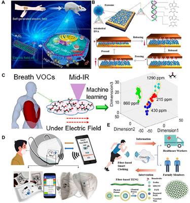 Frontiers | What can AI-TENG do for Low Abundance Biosensing?