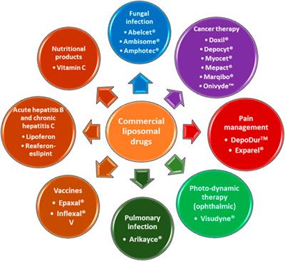Frontiers | Regulatory Considerations Specific to Liposome Drug ...