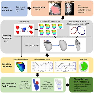 Frontiers  CT-Based Analysis of Left Ventricular Hemodynamics Using  Statistical Shape Modeling and Computational Fluid Dynamics