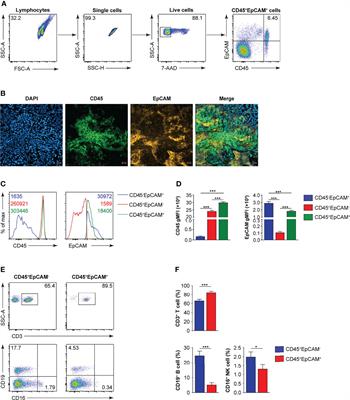 Frontiers | Tumor-Derived Exosomes Regulate Apoptosis of CD45+EpCAM+ ...