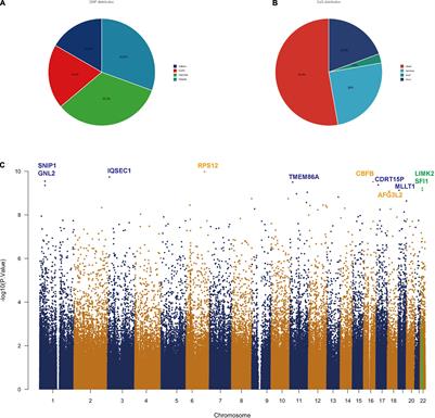 Frontiers | DNA Methylation-Related circRNA_0116449 Is Involved in ...