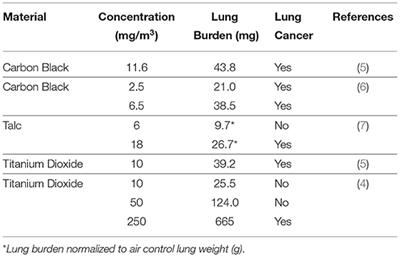 Review of the Evidence from Epidemiology, Toxicology, and Lung