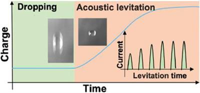 Unravelling the electrochemical double layer by direct probing of the  solid/liquid interface