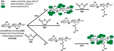 Frontiers Beyond Cellulose Pharmaceutical Potential For Bioactive