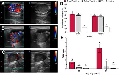 Non-contrast power Doppler ultrasound imaging for early assessment