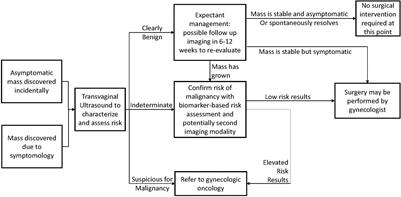 Frontiers | Management of the Adnexal Mass: Considerations for the ...