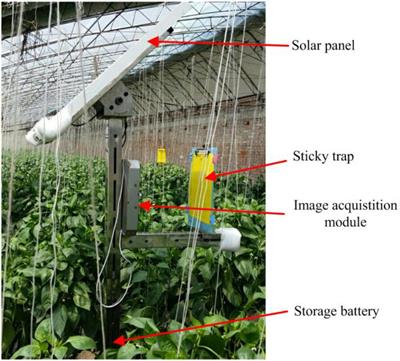 Wholesale Bug Traps for Pest Control for Commercial Growers - MORR