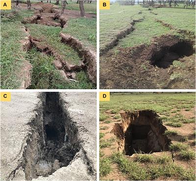 The deep origin of ground fissures in the Kenya Rift Valley