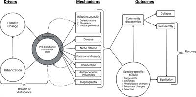 Frontiers  Breeding for Climate Change Resilience: A Case Study