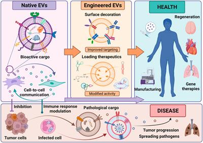 Frontiers | Editorial: Extracellular Vesicles as Next Generation ...