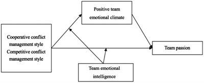 Frontiers  Exploring the relationships between team leader's