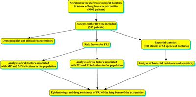 Fracture-Related Infection of the tibia due to a polymicrobial