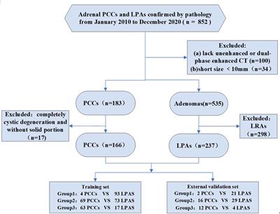 Frontiers | Risk prediction model establishment with tri-phasic CT ...