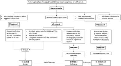 Frontiers | Fat necrosis: A consultant’s conundrum