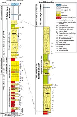 Frontiers The Mid Cretaceous Lower Cenomanian Continental Vertebrates Of Gara Samani Algeria Sedimentological Framework And Palaeodiversity