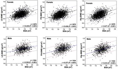 Frontiers | Effect of Body Surface Area on Severe Osteoporotic ...