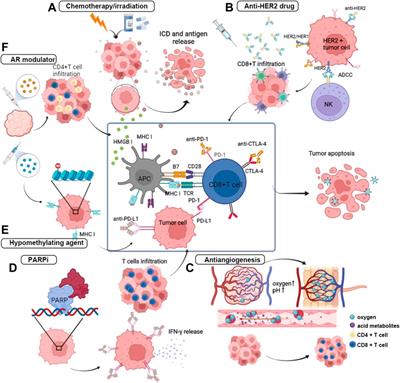 Frontiers | Combinatorial Strategies With PD-1/PD-L1 Immune Checkpoint ...