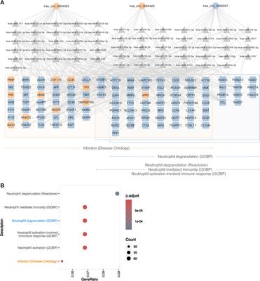 Www Xxx Sexy Video Rep Video - Sex chromosome aneuploidies give rise to changes in the circular RNA  profile: A circular transcriptome-wide study of Turner and Klinefelter  syndrome across different tissues - Frontiers