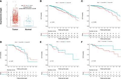 Frontiers  Clinical significance and prognostic value of small nucleolar  RNA SNORA38 in breast cancer