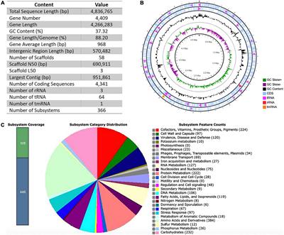 Frontiers Whole Genome Sequencing Of The Multidrug Resistant Chryseobacterium Indologenes Isolated From A Patient In Brazil