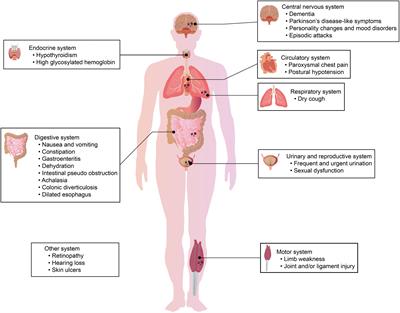 Frontiers | Clinical and mechanism advances of neuronal intranuclear ...