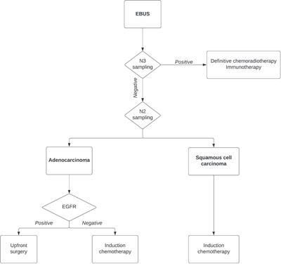 Frontiers | In EBUS Signo Vinces: New Indications in Thoracic Oncology ...