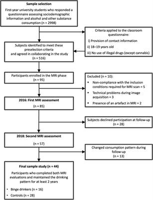 Drinks Full Tait Rep Sex Videos - Frontiers | Effects of Persistent Binge Drinking on Brain Structure in  Emerging Adults: A Longitudinal Study