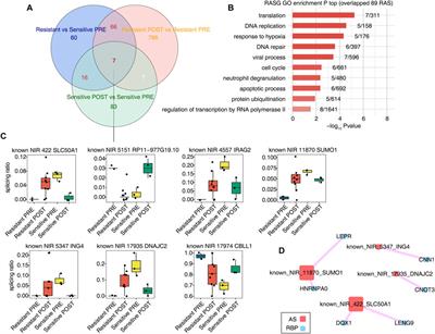 Frontiers | Genome-wide identification of alternative splicing ...