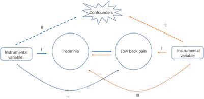 Frontiers | Association of insomnia and daytime sleepiness with low ...