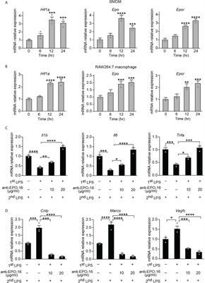 Frontiers | Erythropoietin mediates re-programming of endotoxin-tolerant  macrophages through PI3K/AKT signaling and protects mice against secondary  infection