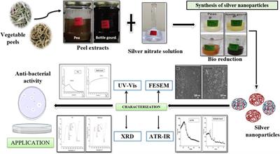 Frontiers | Green synthesis of silver nanoparticles from vegetable ...