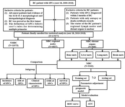 Frontiers | Relationship between metastasis and second primary cancers ...