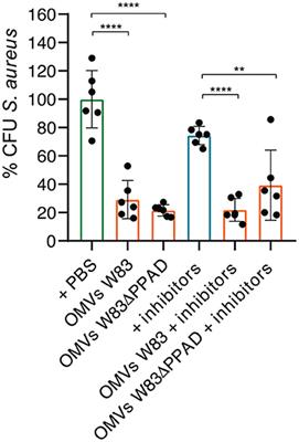 Frontiers  Selective Host Cell Death by Staphylococcus aureus: A Strategy  for Bacterial Persistence