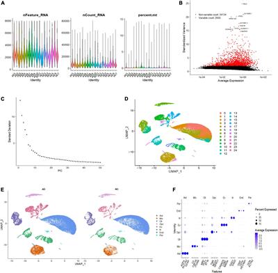 Frontiers | Accelerated aging-related transcriptome alterations in ...