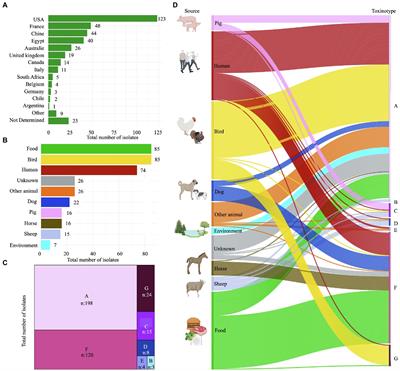 Frontiers  Intra-species diversity of Clostridium perfringens: A