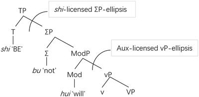 Frontiers  The role of L1 in L2 speech production at different stages of  L2 development: Evidence from L2 Chinese oral production of verb-phrase  ellipsis by English and Korean speakers