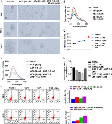 Frontiers | Adapalene inhibits the growth of triple-negative breast ...