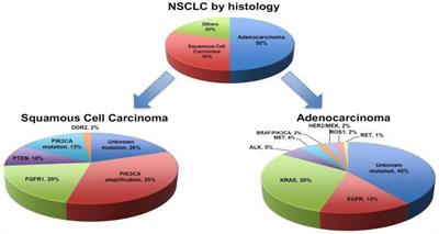 Frontiers | State-of-the-art combination treatment strategies for ...