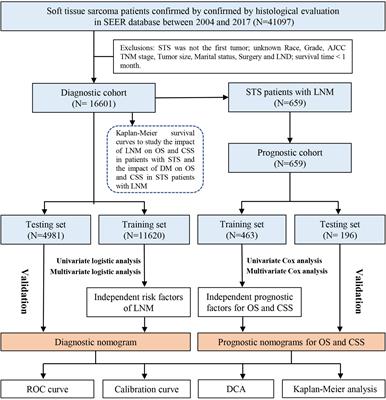 Soft Tissue Sarcoma Treatment - NCI