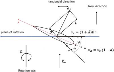 Frontiers | Motion characteristics and aero-elastic responses of ...