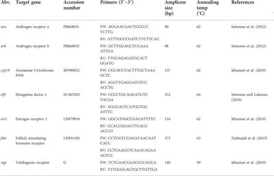 Frontiers  Steroid implants for the induction of vitellogenesis in  feminized European silver eels (Anguilla anguilla L.)