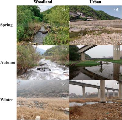 Lab 5: Stream Erosion Streams are extremely powerful