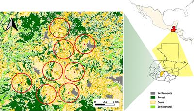 Frontiers  Landscape or local? Distinct responses of flower visitor  diversity and interaction networks to different land use scales in  agricultural tropical highlands