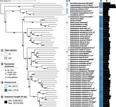 The phenotype and genotype of fermentative prokaryotes