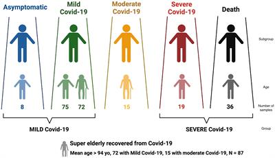 Mapping the human genetic architecture of COVID-19