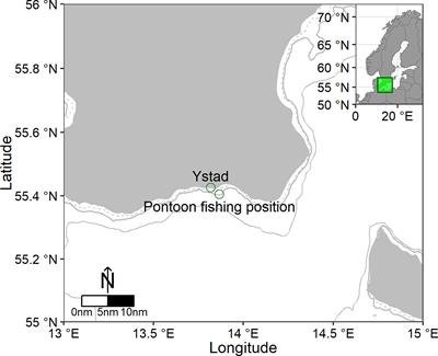 An evolution of pontoon traps for cod fishing (Gadus morhua) in the  southern Baltic Sea - Frontiers