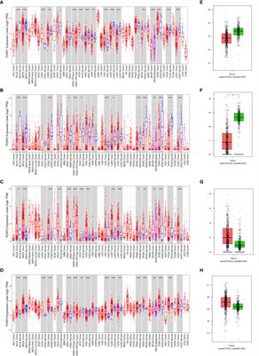 Frontiers | Effect of FOXP2 transcription factor on immune infiltration ...